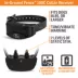 SportDOG® SDF-CR Add-A-Dog Collar image thumbnail 2