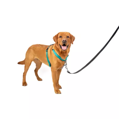 Product PetSafe® 3 in 1 Harness