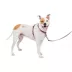 PetSafe® 3 in 1 Harness image thumbnail 1
