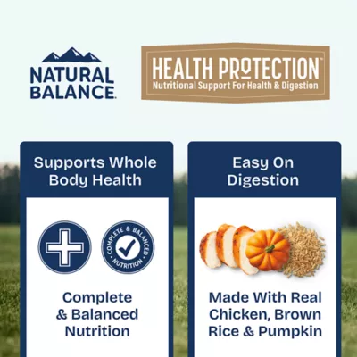 Product Natural Balance Health Protection Adult Wet Dog Food - Chicken & Pumpkin Stew, 12.5 oz