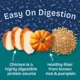 Product Natural Balance Health Protection Adult Wet Dog Food - Chicken & Pumpkin Stew, 12.5 oz