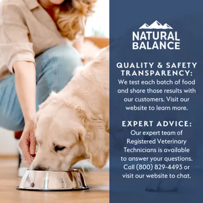 Product Natural Balance Health Protection Adult Wet Dog Food - Chicken & Pumpkin Stew, 12.5 oz