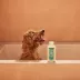 Mrs. Meyer's Clean Day 3 in 1 Dog Shampoo - Sweet Chamomile, 14 oz image thumbnail 8