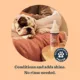 Product Mrs. Meyer's Clean Day Dog Deodorizing Spritz - White Peach, 8 oz