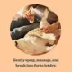 Product Mrs. Meyer's Clean Day Dog Deodorizing Spritz - White Peach, 8 oz