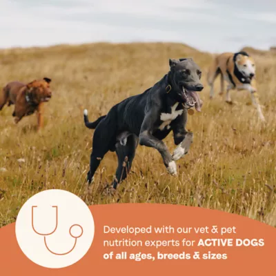 Product Canidae All Life Stages High Protein 30/20 All Life Stage Dry Dog Food - Multi-Protein