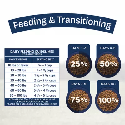 Product Natural Balance Health Protection Adult Dry Dog Food - Chicken, Brown Rice & Pumpkin