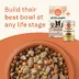 Canidae All Life Stages Chunky Stew Toppers All Life Stage Wet Dog Food - Chicken & Vegetable image thumbnail 8