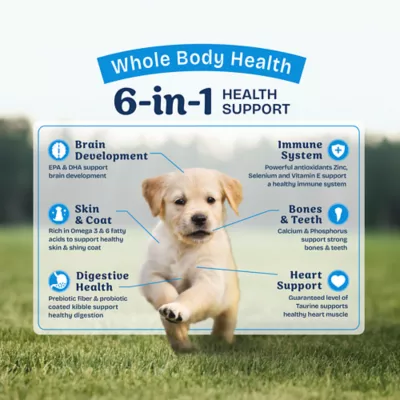Product Natural Balance Health Protection Puppy Dry Dog Food - Chicken, Brown Rice & Pumpkin