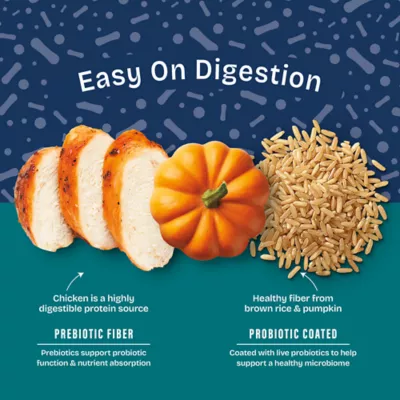 Natural Balance Health Protection Small Breed Adult Dog Dry Food - Chicken, Brown Rice & Pumpkin - Image 3