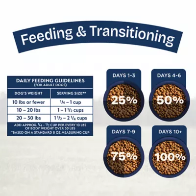 Natural Balance Health Protection Small Breed Adult Dog Dry Food - Chicken, Brown Rice & Pumpkin - Image 5