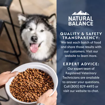 Natural Balance Health Protection Small Breed Adult Dog Dry Food - Chicken, Brown Rice & Pumpkin - Image 9