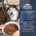 Natural Balance Health Protection Small Breed Adult Dog Dry Food - Chicken, Brown Rice & Pumpkin image thumbnail 9