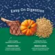 Product Natural Balance Health Protection Adult Dog Dry Food - Lamb, Brown Rice & Pumpkin