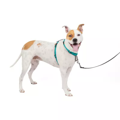 Product PetSafe® 3 in 1 Harness