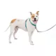 Product PetSafe® 3 in 1 Harness