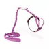 PetSafe® Come With Me Kitty, Cat Harness, and Cat Bungee Leash, Multiple Sizes & Colors image thumbnail 1