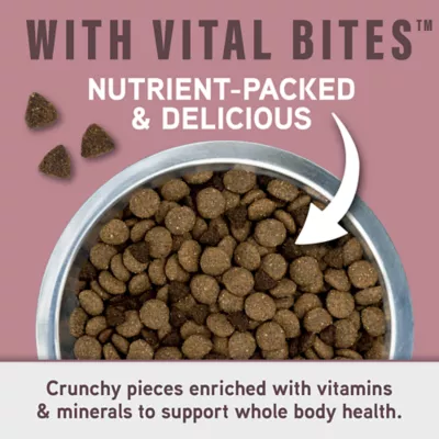 Product Natural Balance Specialized Nutrition Sensitive Skin & Stomach Adult Dry Dog Food - Salmon & Oatmeal