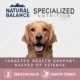 Product Natural Balance Specialized Nutrition Sensitive Skin & Stomach Adult Dry Dog Food - Salmon & Oatmeal
