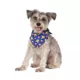 Product Pokémon Pikachu Dog Bandana