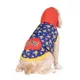 Product Pokémon Pikachu Dog Hoodie