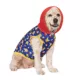 Product Pokémon Pikachu Dog Hoodie