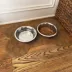 Washable Dog Bowl Mat Gentle Fans 18" x 27" image thumbnail 2