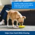 PetSafe® Rubber Ice Cream Dog Toy image thumbnail 4