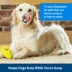 PetSafe® Rubber Ice Cream Dog Toy image thumbnail 3