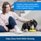 Product PetSafe® Rubber Ice Cream Dog Toy