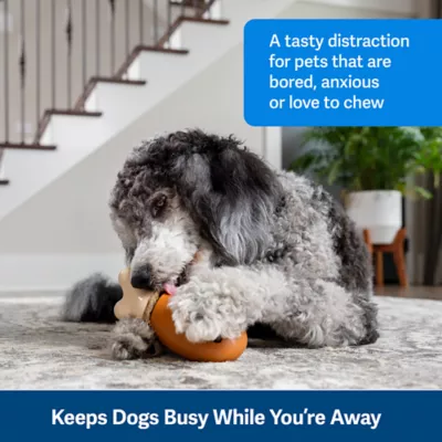 PetSafe® Busy Buddy® Chompin' Chicken Dog Toy - Image 2