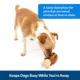 Product PetSafe® Busy Buddy® Chompin' Chicken Dog Toy