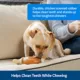 Product PetSafe® Busy Buddy® Chompin' Chicken Dog Toy