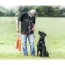 SportDOG® Natural Canvas Dummy image thumbnail 2