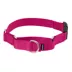 PetSafe® Martingale 3/4" Collar with Quick Snap Buckle image thumbnail 1