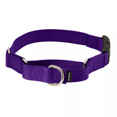 PetSafe® Martingale 3/8" Collar with Quick Snap Buckle - Image 1
