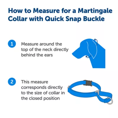 PetSafe® Martingale 3/8" Collar with Quick Snap Buckle - Image 3