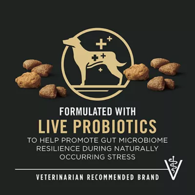 Product Purina Pro Plan Complete Essentials Shredded Blend Adult Dry Dog Food - Salmon & Rice