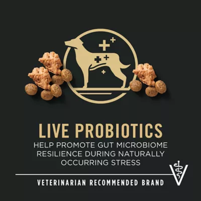Product Purina Pro Plan Specialized Shredded Blend Small Breed Senior 7+ Dry Dog Food - Chicken & Rice