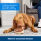 Product PetSafe® Busy Buddy® Dog Treat Ring Variety Pack