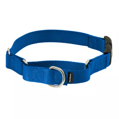 PetSafe® Martingale 1" Collar with Quick Snap Buckle - Image 1