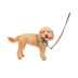 PetSafe® 3 in 1 Harness image thumbnail 1