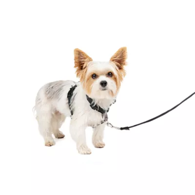 PetSafe® 3 in 1 Harness - Image 1