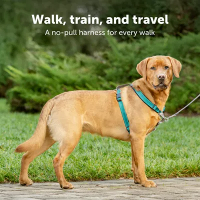 PetSafe® 3 in 1 Harness - Image 2