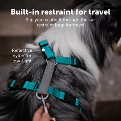 PetSafe® 3 in 1 Harness - Image 3