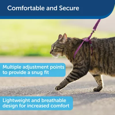 PetSafe® Come With Me Kitty, Cat Harness, and Cat Bungee Leash, Multiple Sizes & Colors - Image 3