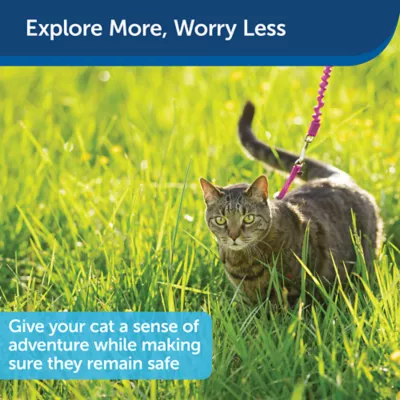 PetSafe® Come With Me Kitty, Cat Harness, and Cat Bungee Leash, Multiple Sizes & Colors - Image 5