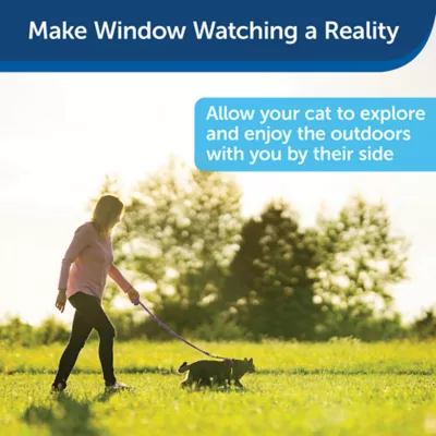 Product PetSafe® Come with Me Kitty Harness and Bungee Leash
