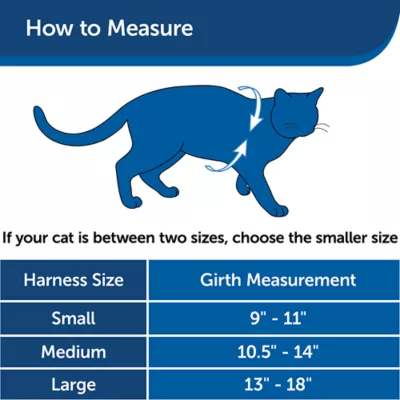 Product PetSafe® Come with Me Kitty Harness and Bungee Leash