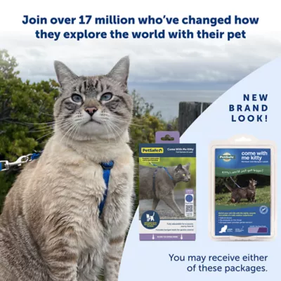 Product PetSafe® Come with Me Kitty Harness and Bungee Leash
